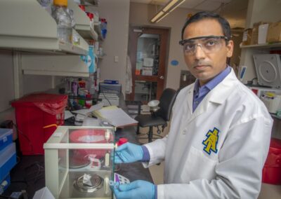 Taking the fight to aflatoxins