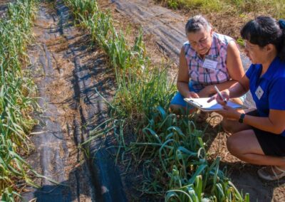 USDA AWARDS N.C. A&T $1.92 MILLION TO LAUNCH HBCU AGRICULTURE BUSINESS INNOVATION CENTER