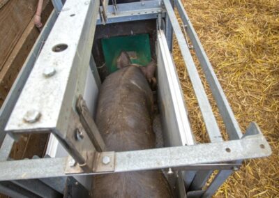 High-tech feeders bring big gains to the industry