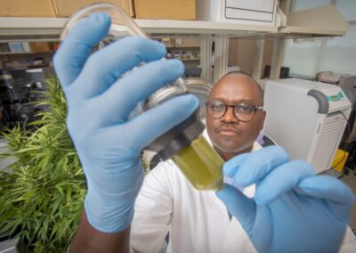 A Clean Sweep: Can hemp, mushrooms fight COVID on surfaces?