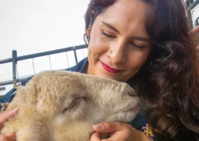 Unlocking the Secrets of Climate-Smart Sheep