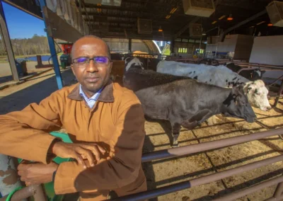 Good for the gut and the planet: Ruminant professor searches for key to improve cattle digestion, reduce greenhouse gases