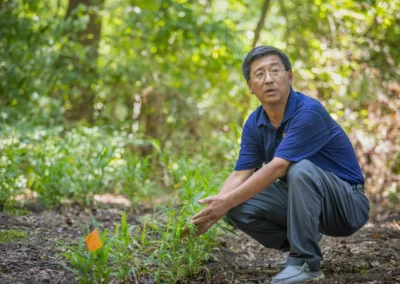 Ginger Takes Root in Carolina Soil