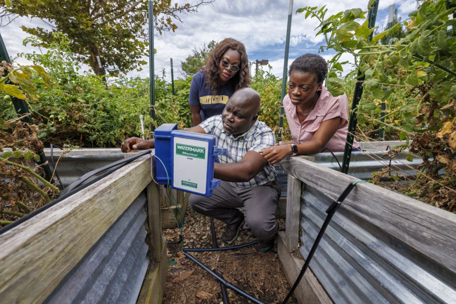 Three individuals observe a water monitoring device in a garden. A man sits in front, holding the device, while two women, one with glasses, lean in closely, engaged in discussion. Green plants surround them under a cloudy sky.