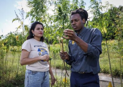 Hemp, Take 2: Research Program Shifts to Fiber Varieties as Demand Grows