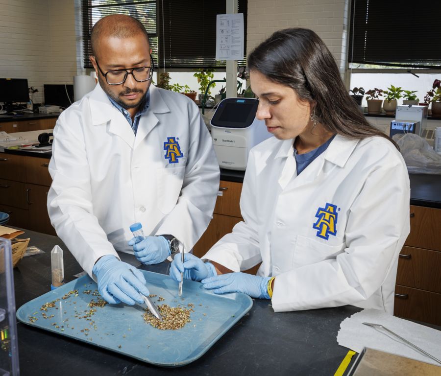 Two researchers, dressed in white lab coats and gloves, examine small samples on a tray in a laboratory setting. They are focused on their work, using tools to handle the materials. A lab instrument is visible in the background.