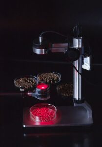 A bright red light illuminates small red beads in a petri dish on a metallic stand. Nearby, other dishes contain various small granules. The setup appears to focus on examining or testing the contents under the light source.