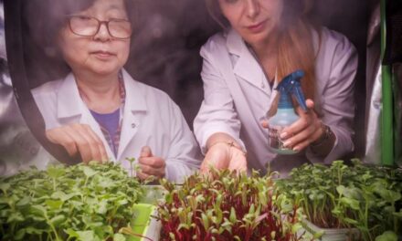 Making (Light) Waves for Microgreens