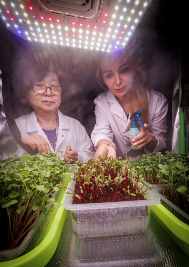 Two women in lab coats are tending to young plants in a controlled environment. One sprays a mist on the plants, while the other observes. Greenery fills the workspace, illuminated by bright overhead lights.