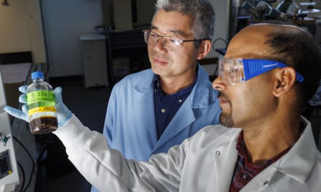 Transforming Waste into Profits