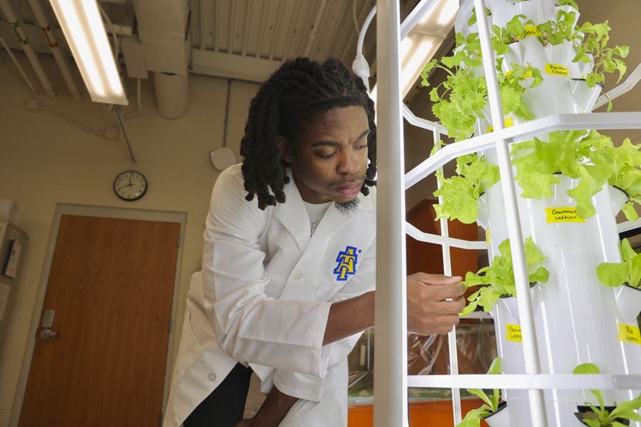 A young man in a lab coat tends to a vertical hydroponic garden growing various types of lettuce. He closely examines the plants, with a clock visible on the wall in the background.